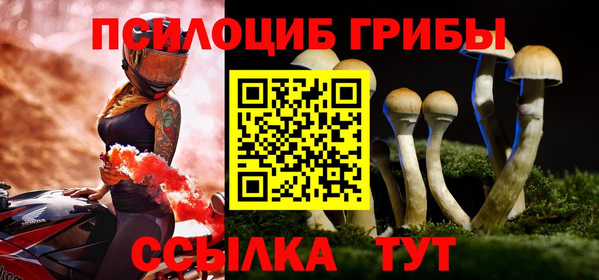 Галлюциногенные грибы Cubensis  Вход с VPN  Псилоцибиновые грибы Psilocybe  дарнет шоп  Прохладный 