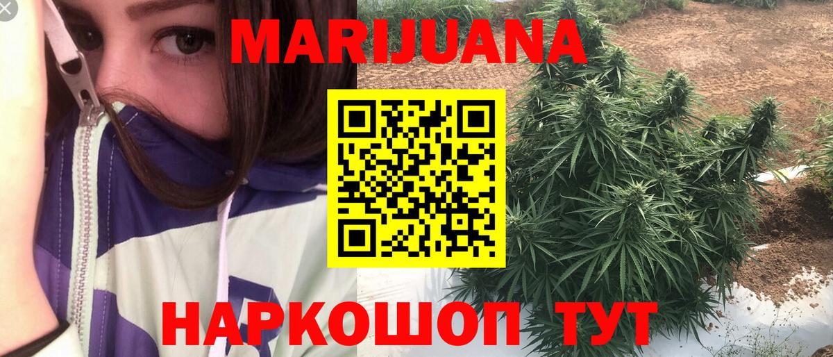 Канабис сатива Прохладный